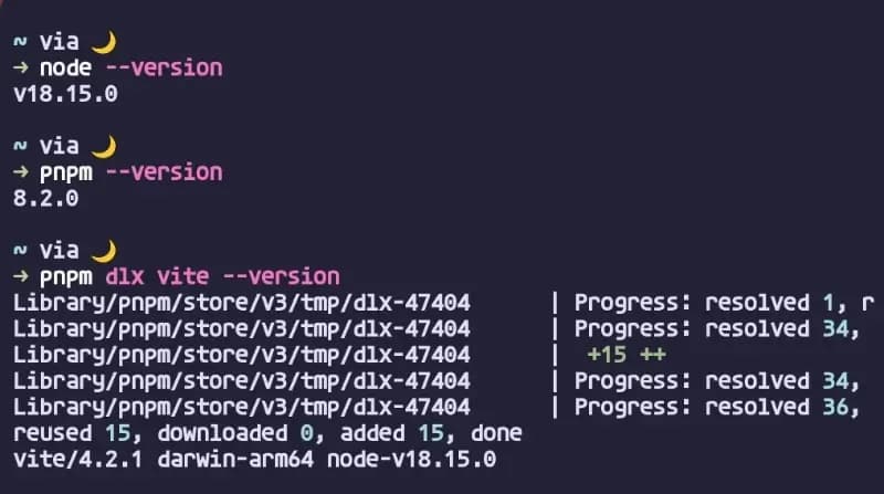 node, pnpm, vite 버전 확인