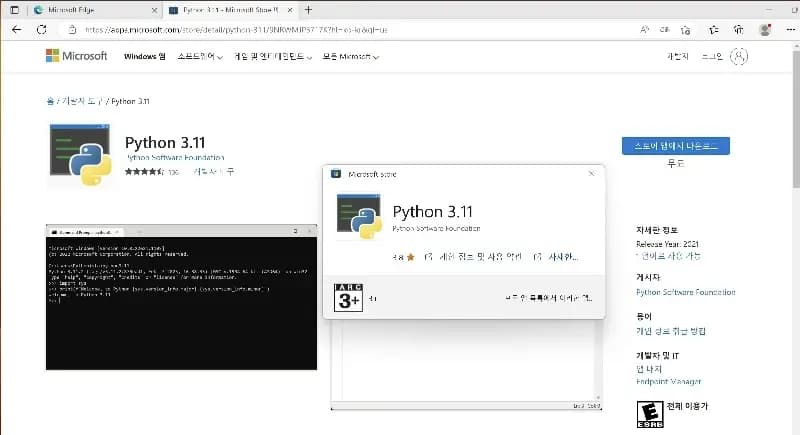 파이썬 MS스토어에서 웹 상세 보기