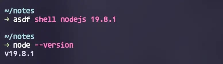 asdf shell nodejs 결과