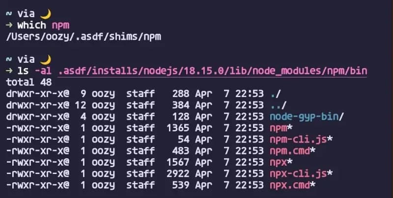 npm 설치 경로 확인