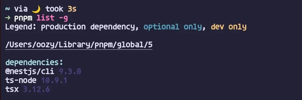 pnpm list -g 예시