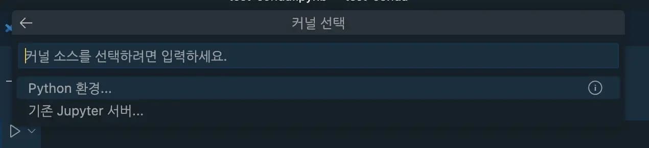 vscode jupyter notebook 커널 선택