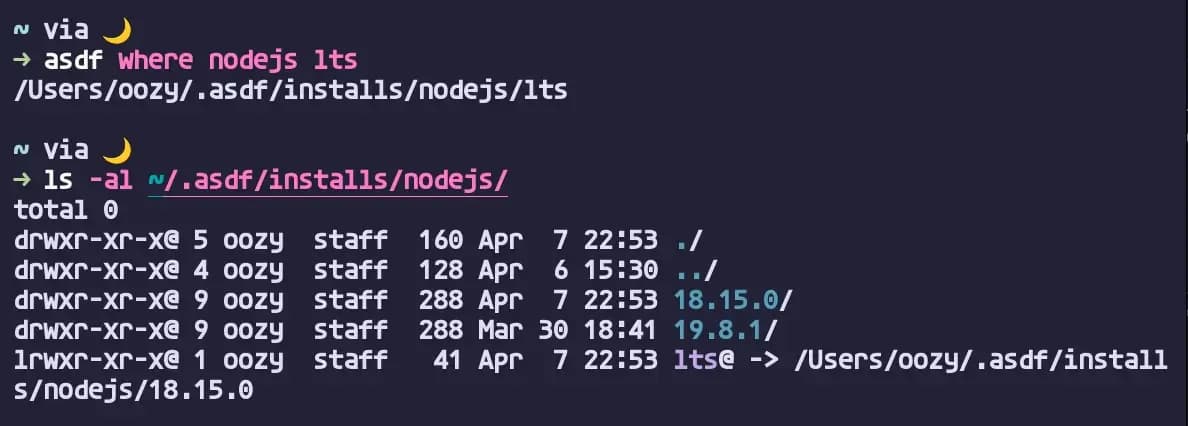 node 설치 경로 확인