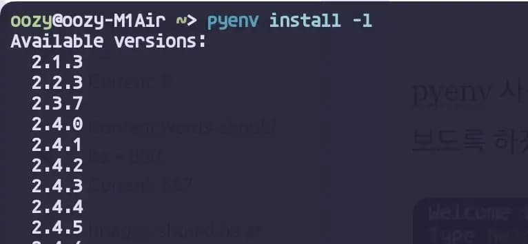 pyenv install -l 목록
