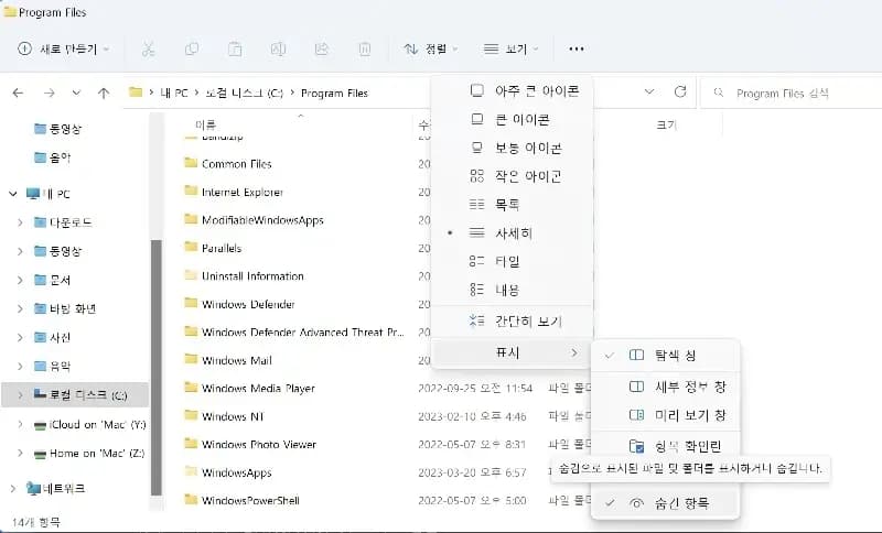 program files 폴더