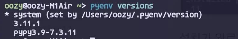 pyenv versions 결과
