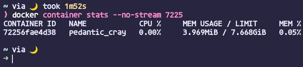 docker container stats --no-stream 실행 결과