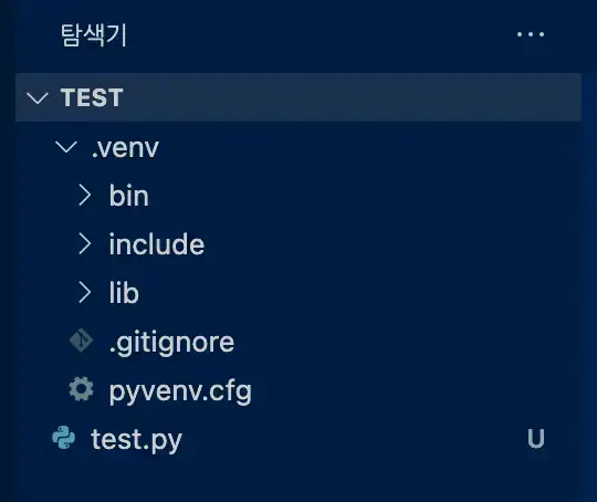 vscode .venv 폴더