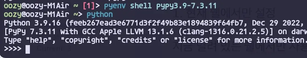 pyenv shell 결과 versions 결과