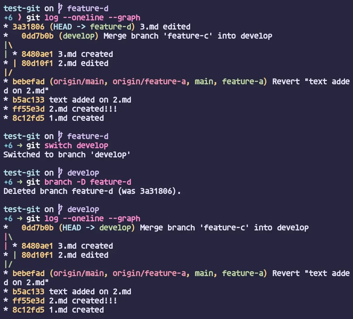git branch -D 실행 결과