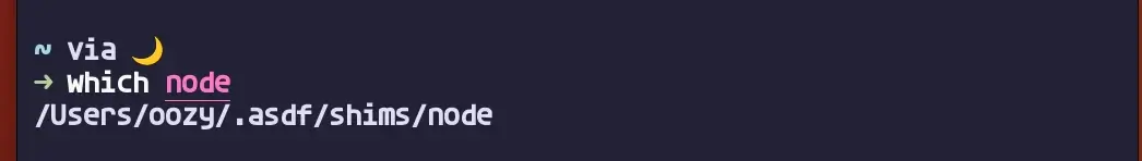 node 실행파일 경로 확인