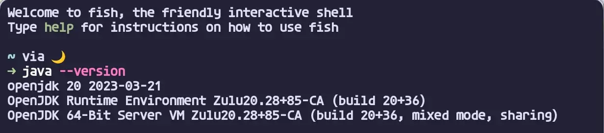 터미널 재실행 후 자바 버전 확인