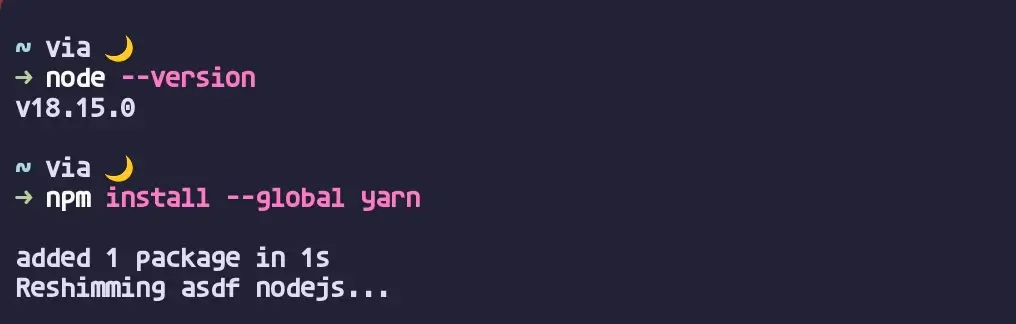 npm list --global 결과