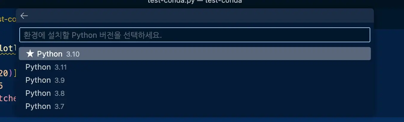 vscode python conda interpreter 버전 설정