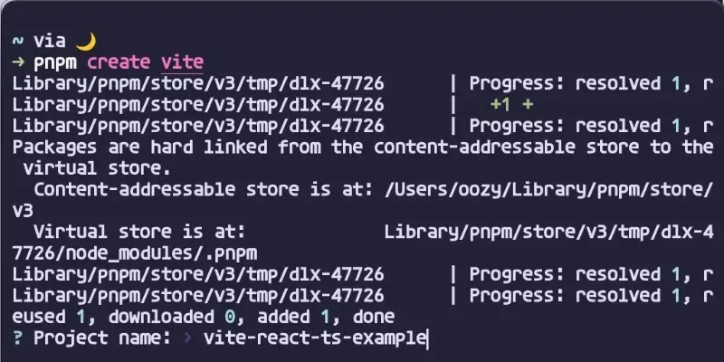 새 vite 프로젝트 시작 화면 - 이름 설정