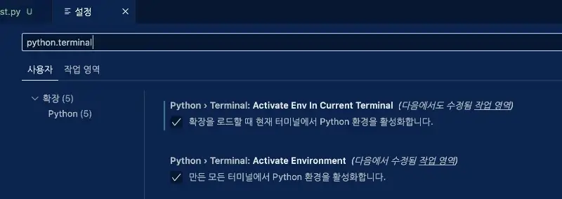 vscode 가상환경 자동 활성화
