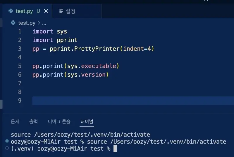 vscode 가상환경 자동 활성화 결과