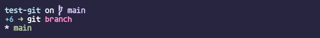 git branch 실행 결과