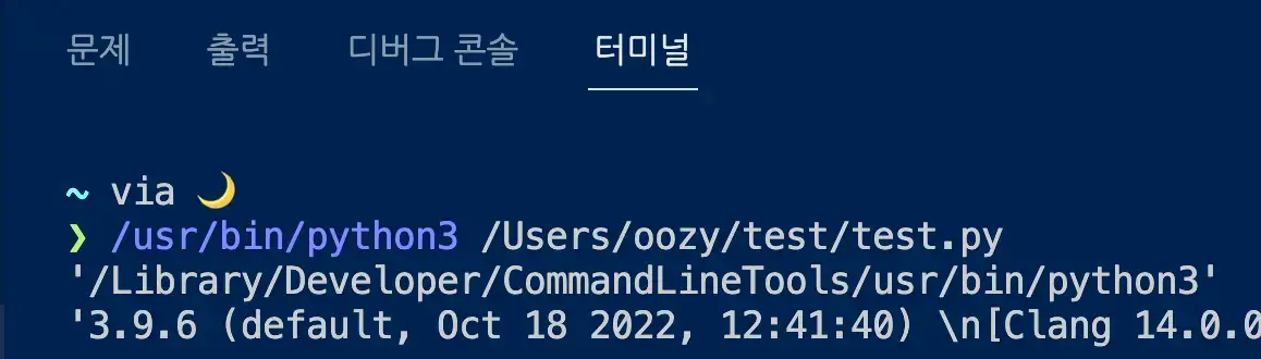 파이썬 경로, 버전 확인 실행 결과