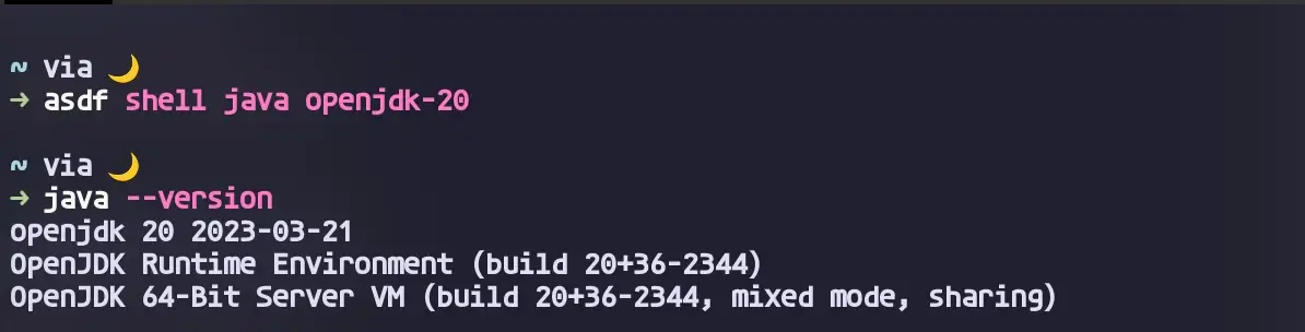 asdf로 현재 쉘에 java 설정