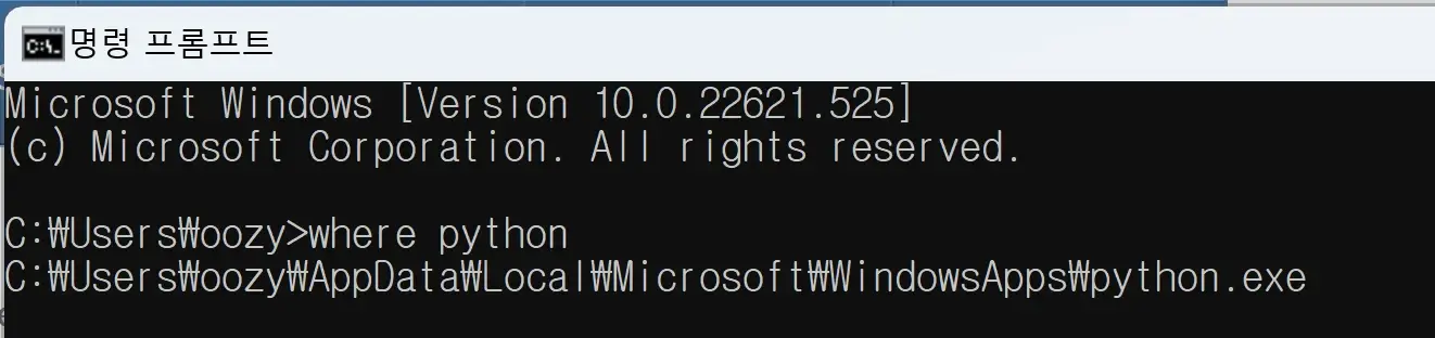 where python 결과