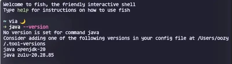 쉘에서 초가화된 java