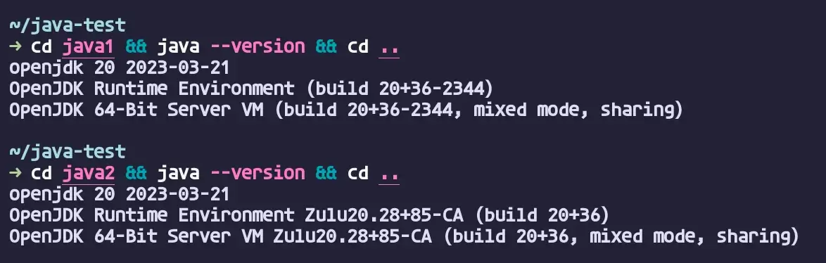 asdf local로 설정한 자바 버전 확인